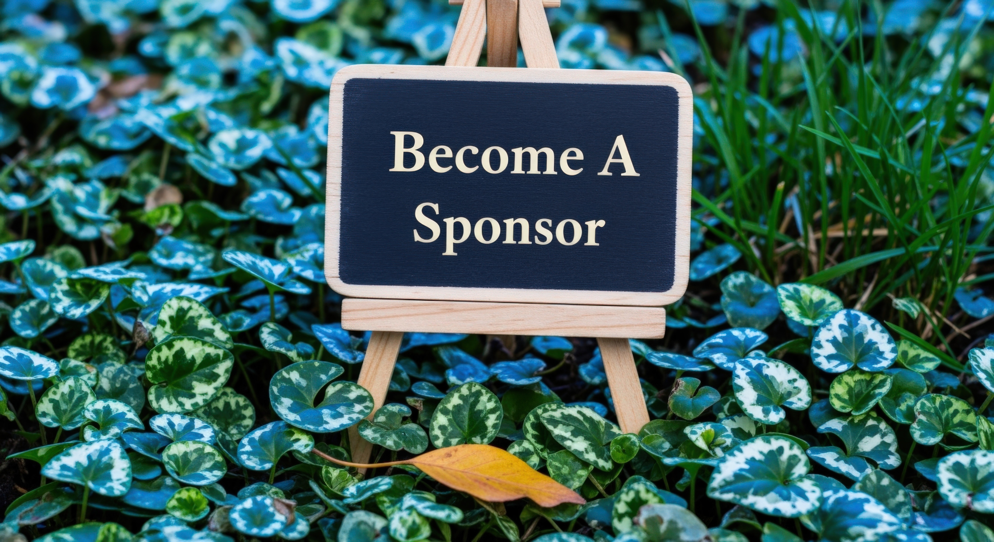 Student learning and preparing for career readiness (placeholder)